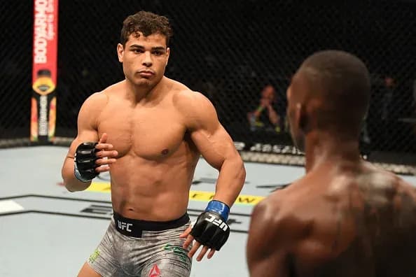 MMA article image