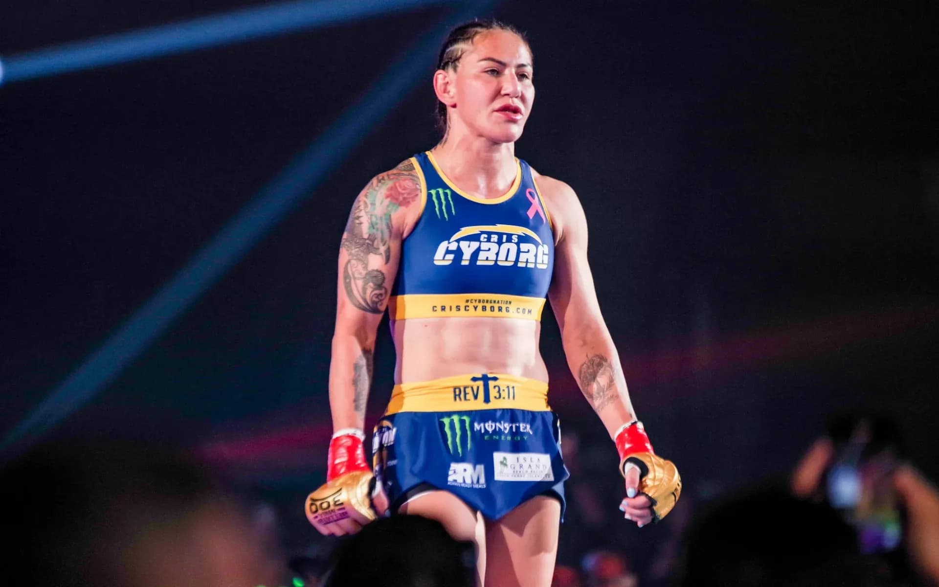 Cris Cyborg is beheld as one of the most skillful and accomplished fighters in MMA, representing her native Brazil. 