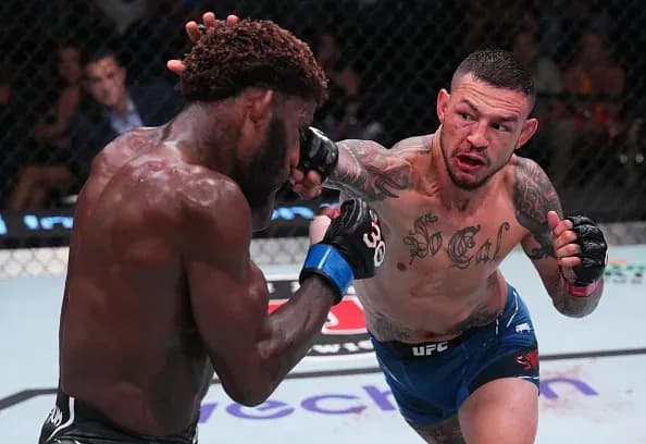 MMA article image