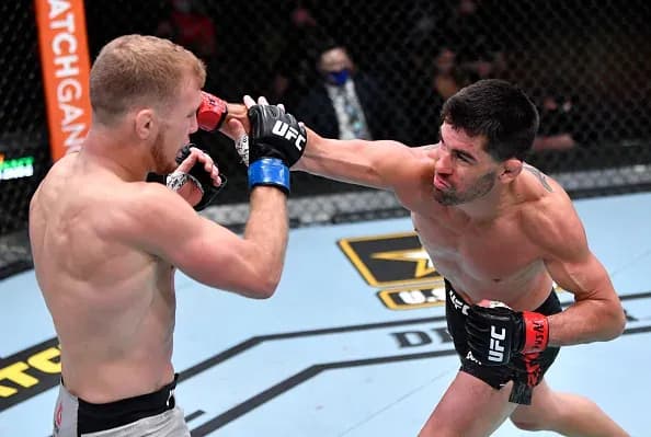 MMA article image