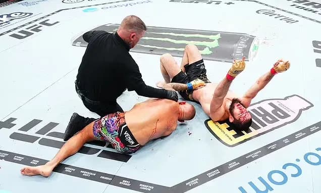 MMA article image