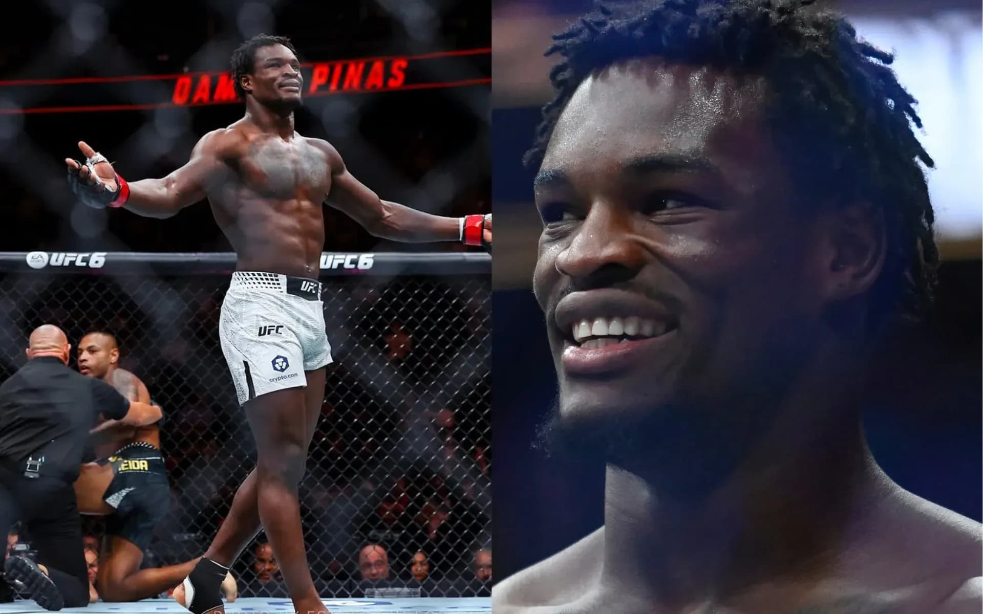 Damian Pinas has made a name for himself as a skillful striker and tenacious fighter in the UFC. 