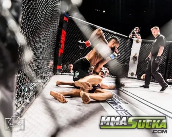 MMA article image