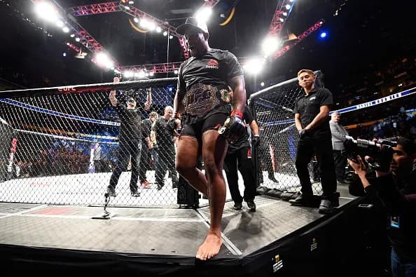 MMA article image