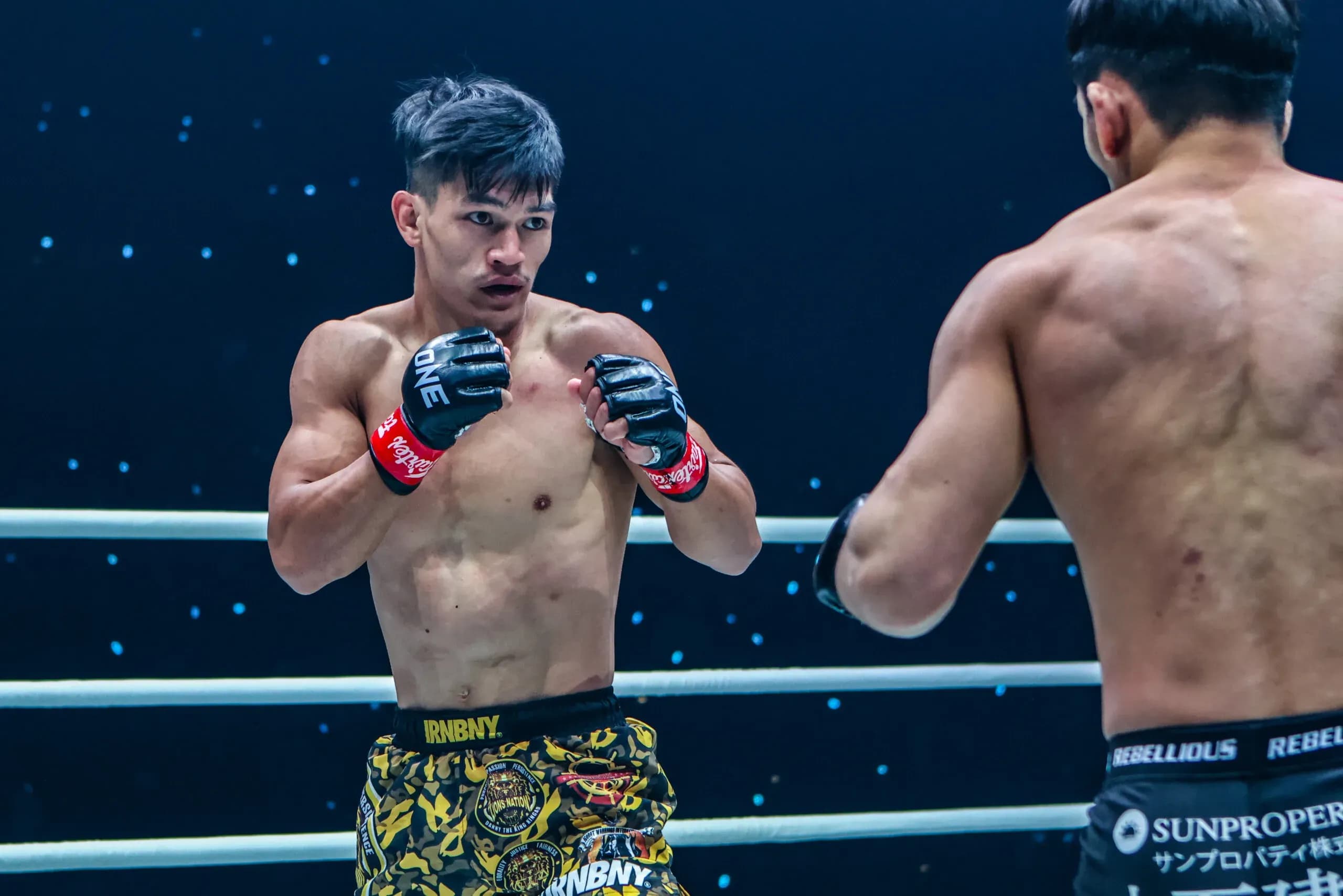 MMA article image