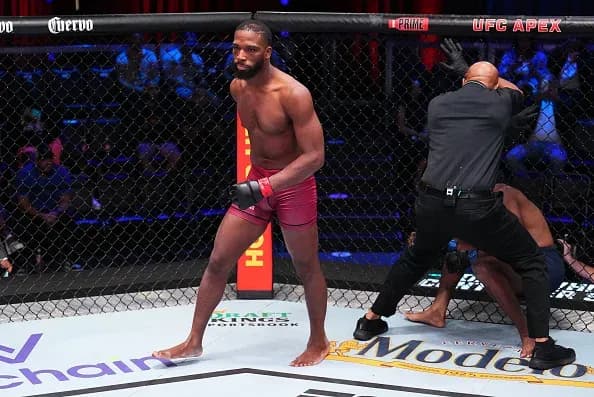 MMA article image