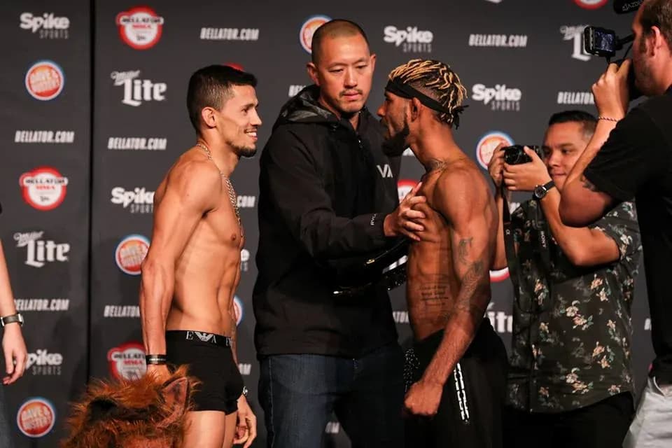 MMA article image