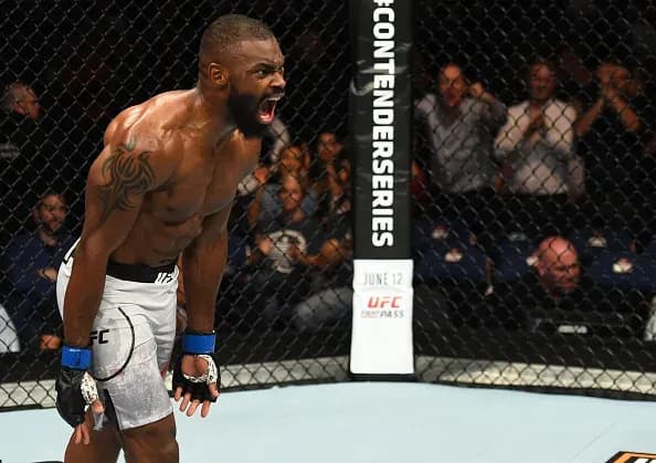 MMA article image