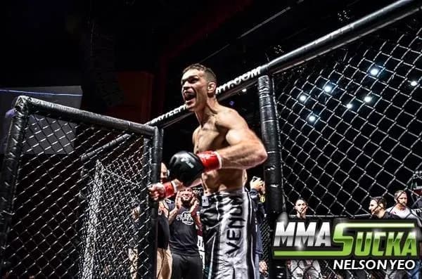 MMA article image