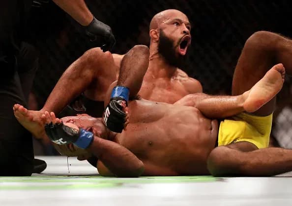 Demetrious Johnson UFC on Fox 24