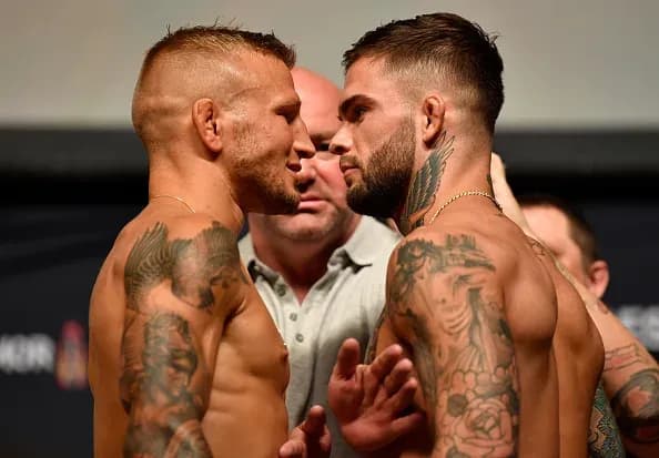 MMA article image