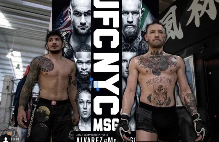 MMA article image