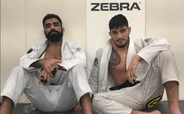 MMA article image