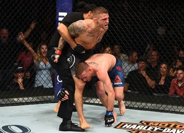 MMA article image