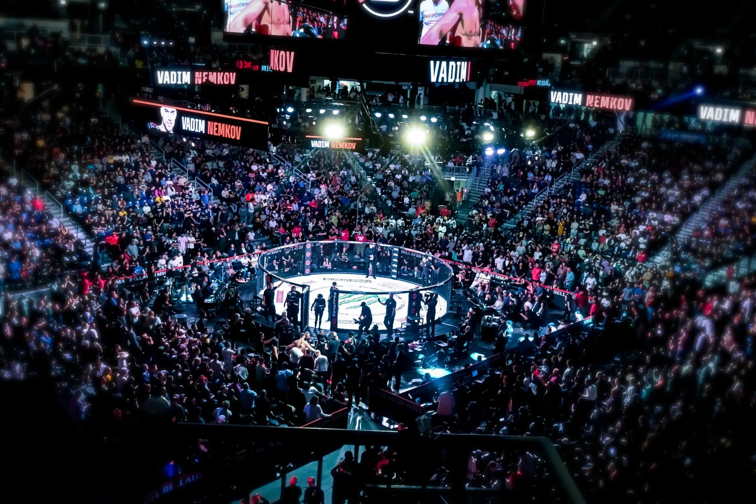 MMA article image
