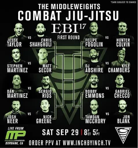 MMA article image
