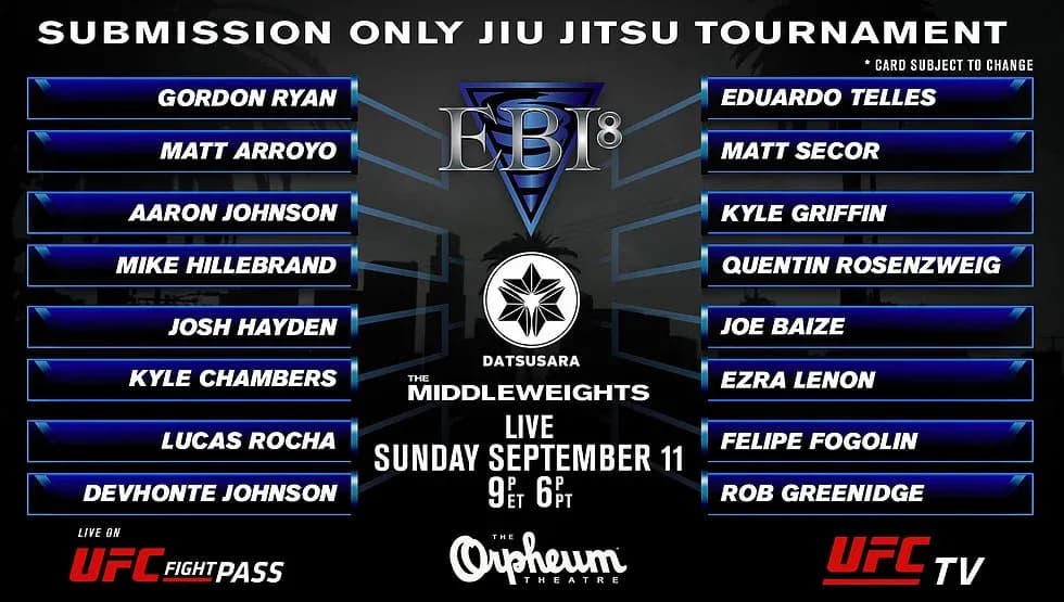MMA article image