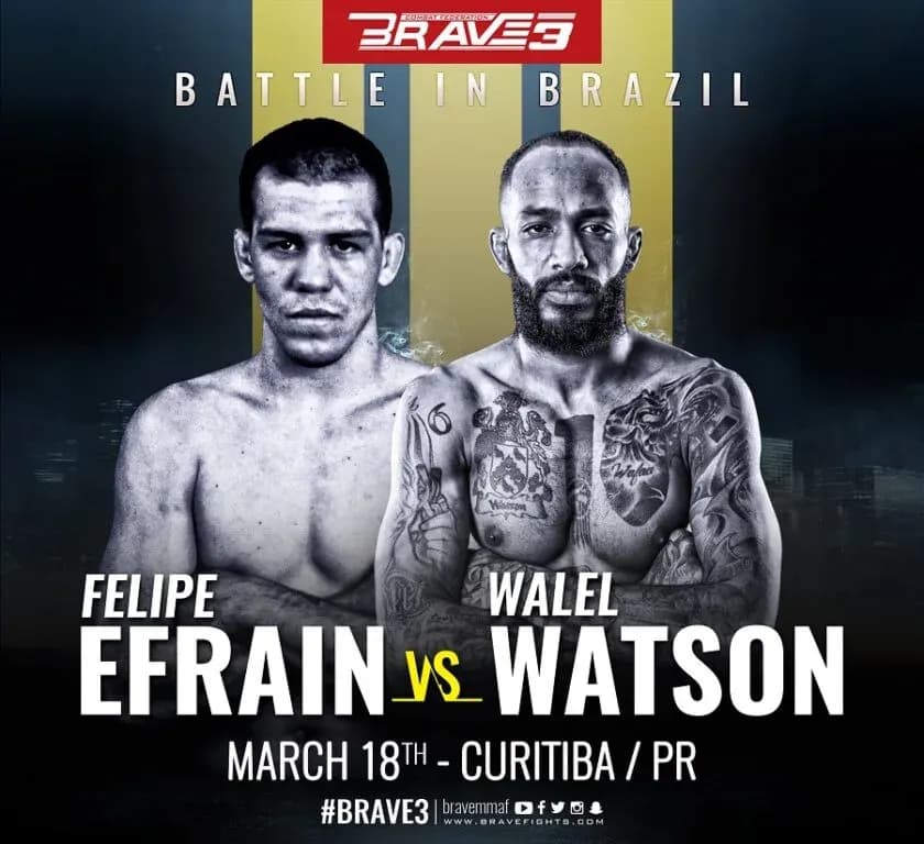 MMA article image