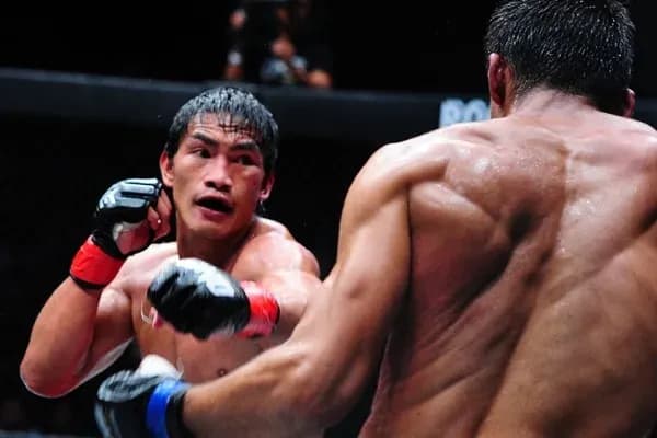 MMA article image