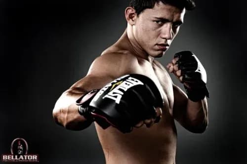 MMA article image