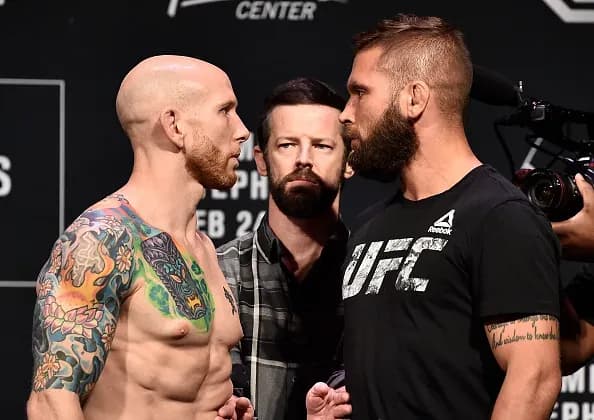 MMA article image