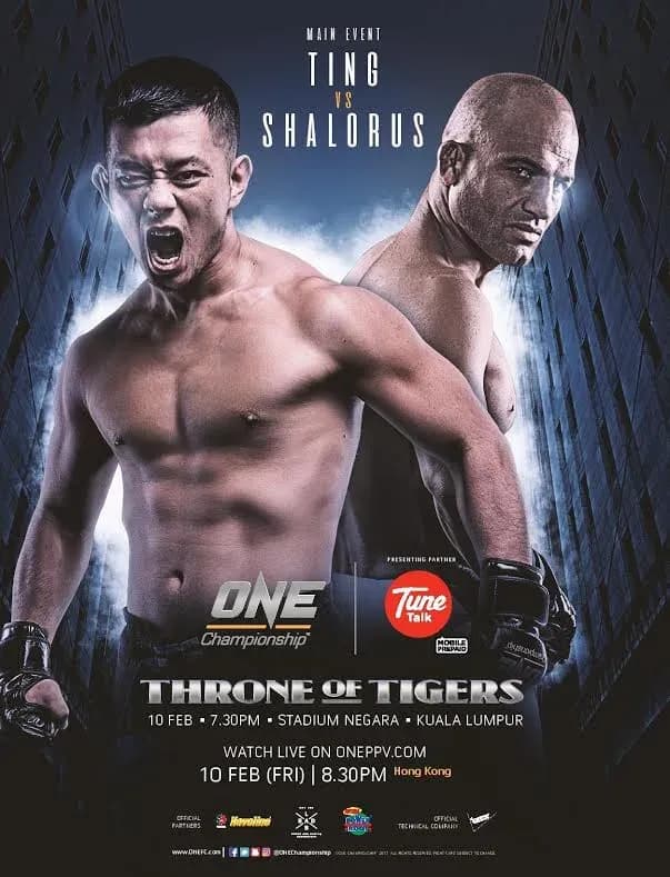 MMA article image