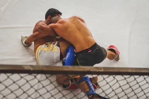 MMA article image