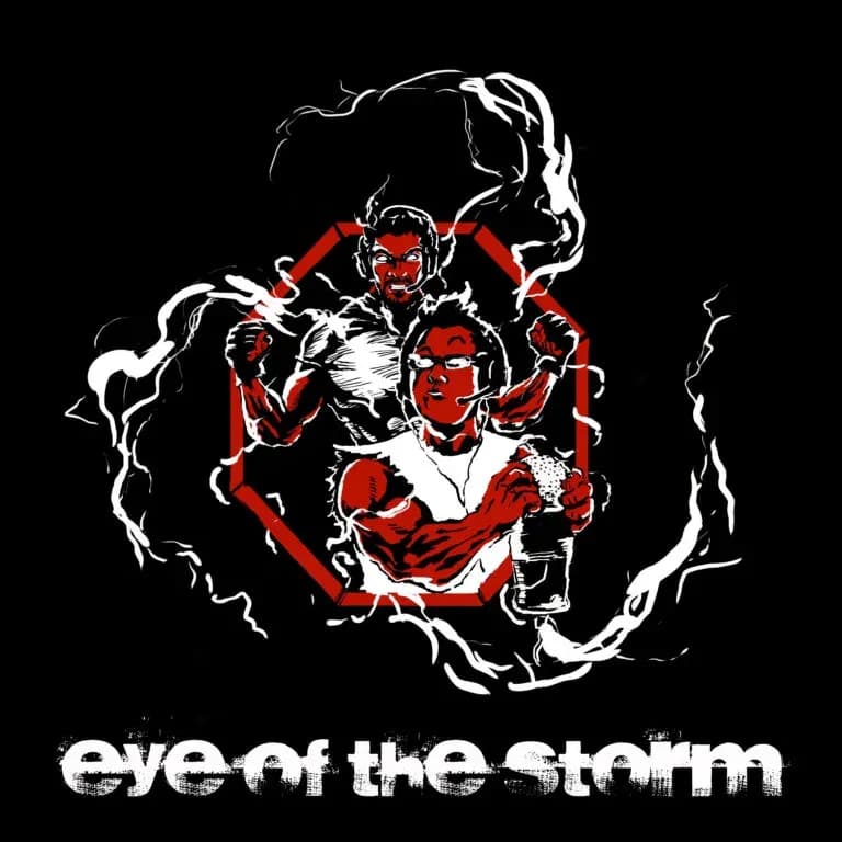 MMA article image