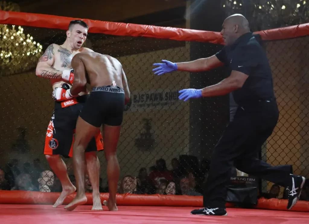 MMA article image