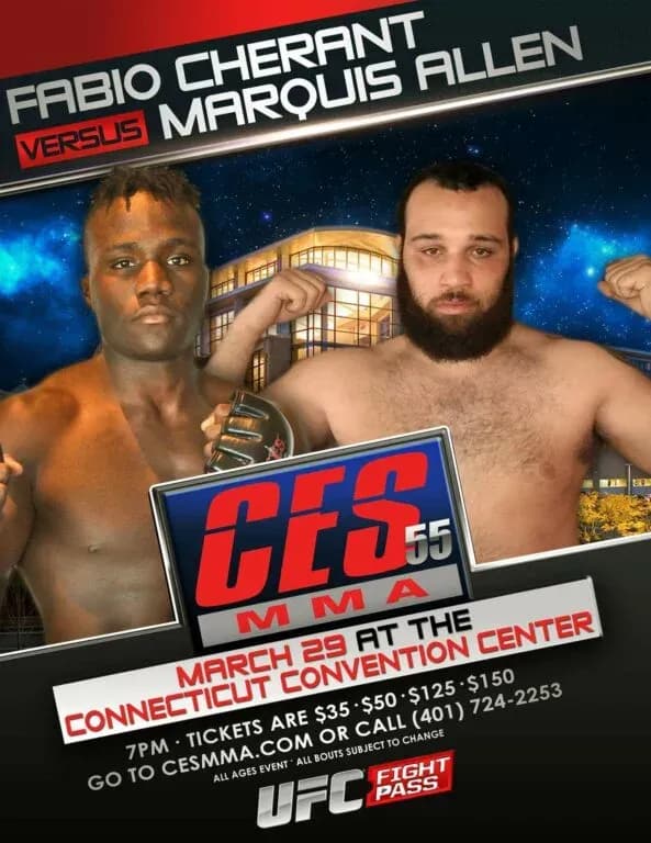 MMA article image
