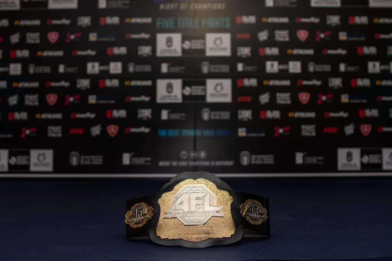 MMA article image