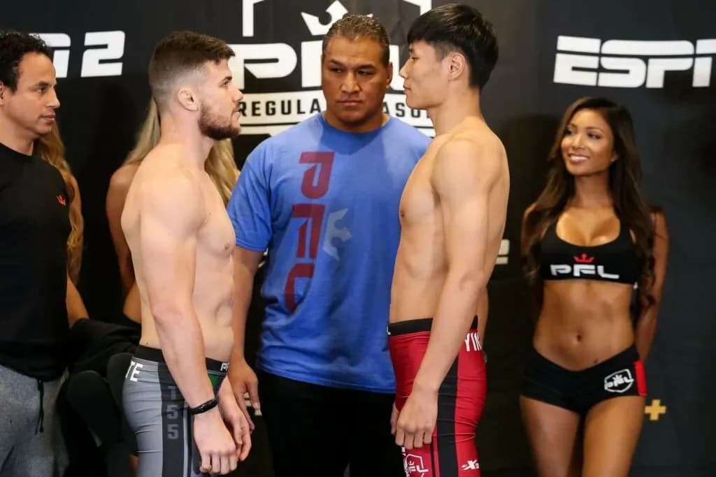 MMA article image