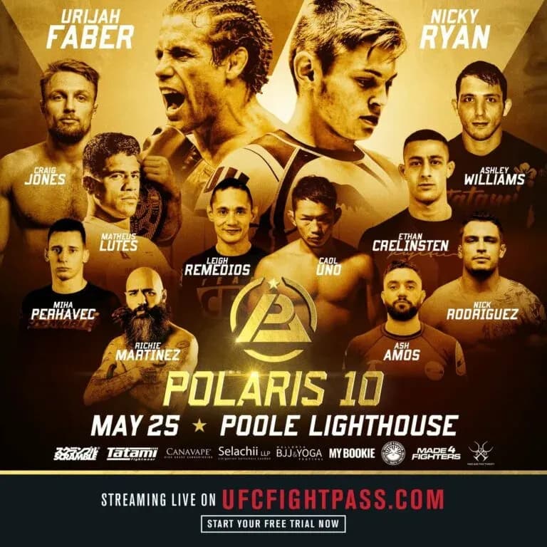 MMA article image
