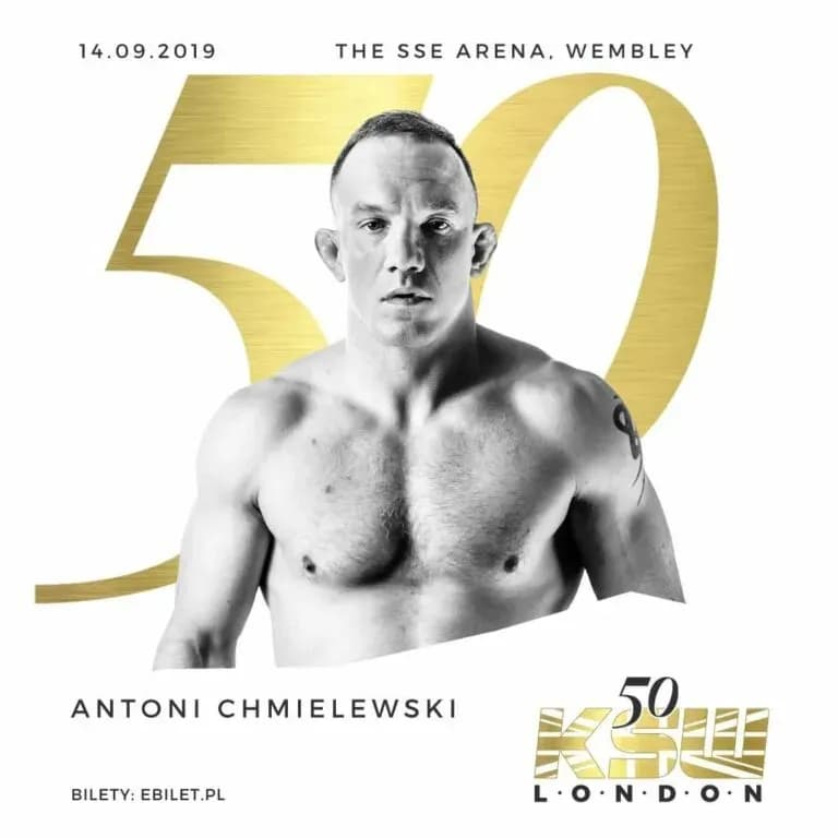 MMA article image
