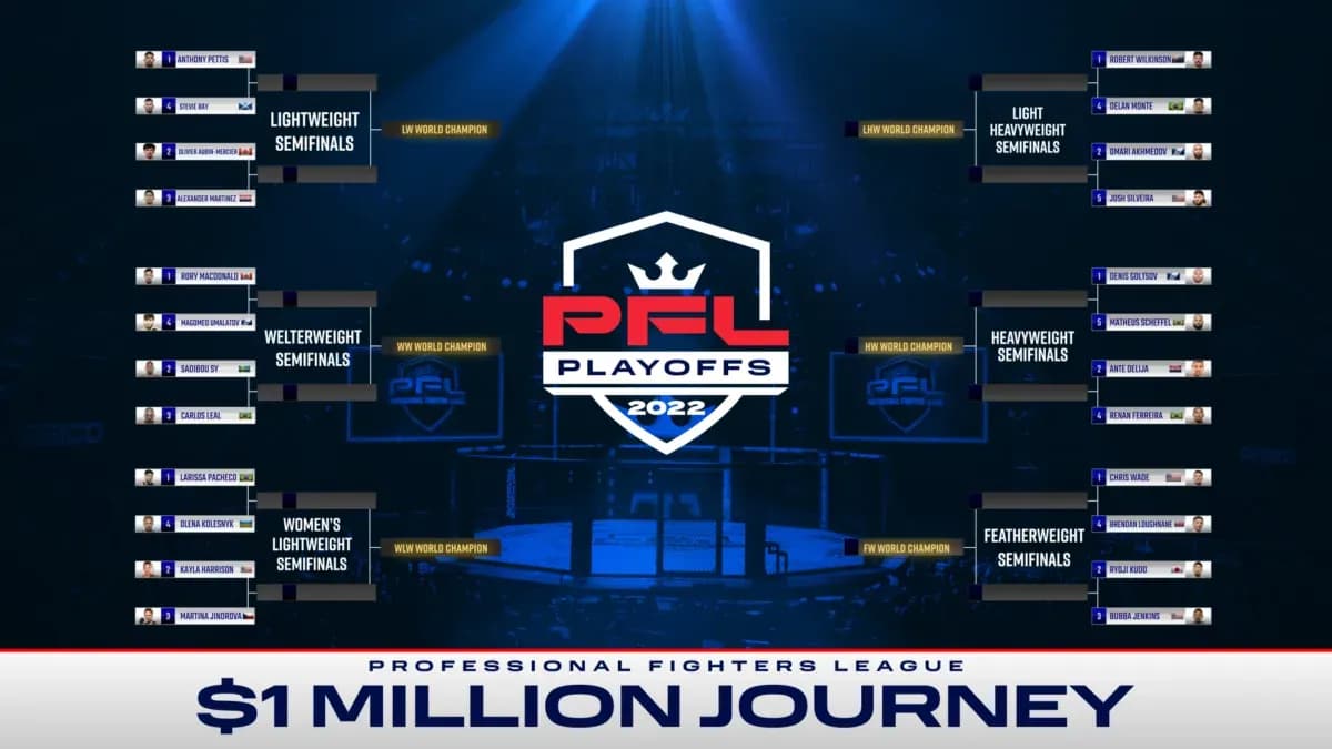 MMA article image