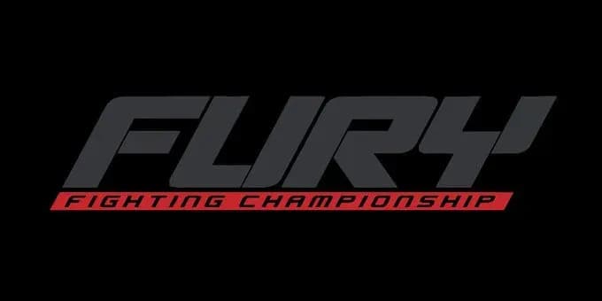 MMA article image