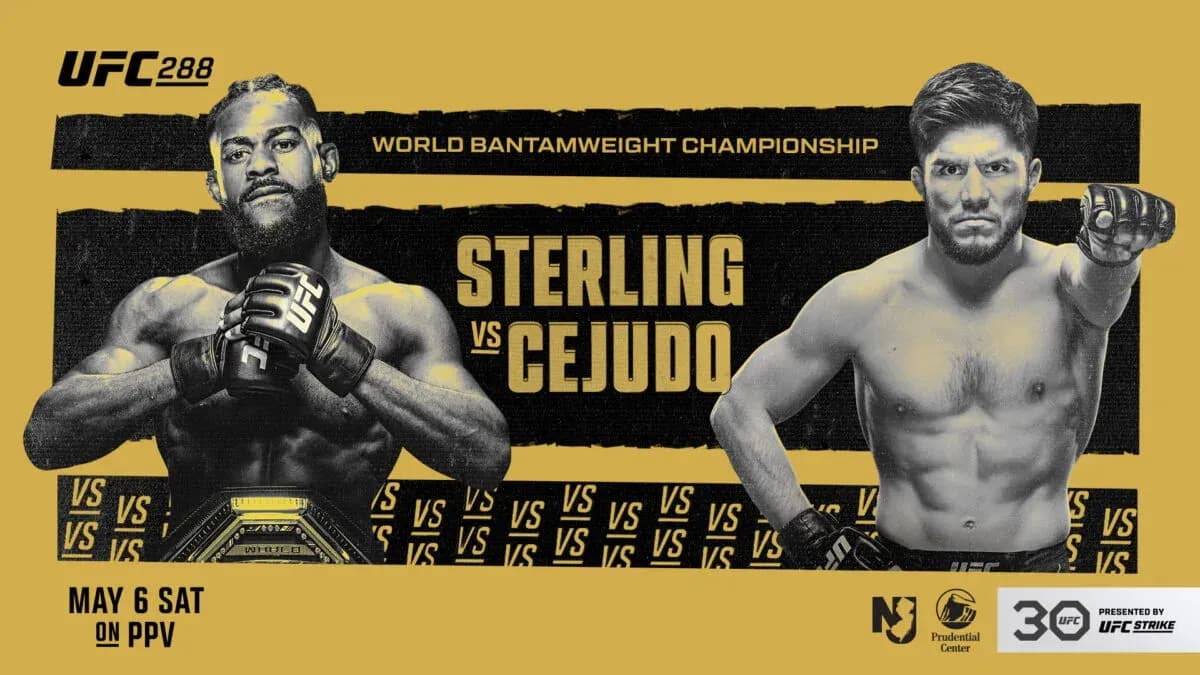 MMA article image