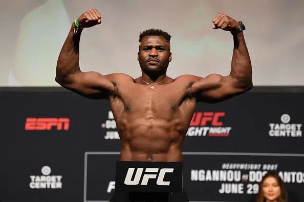 MMA article image