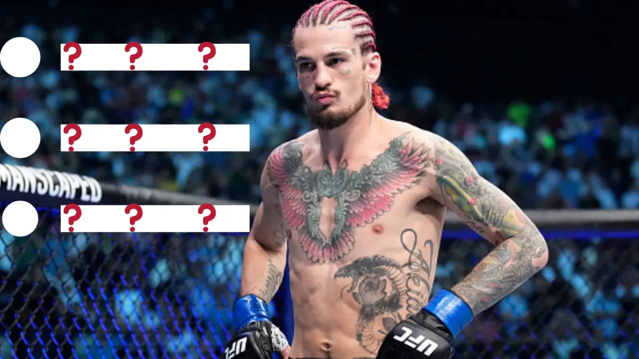 MMA article image