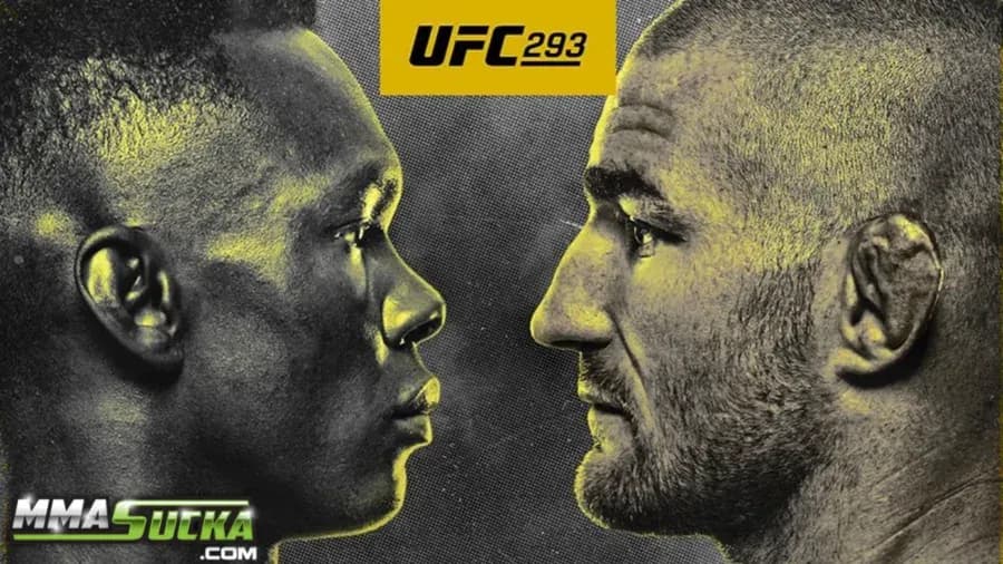 MMA article image