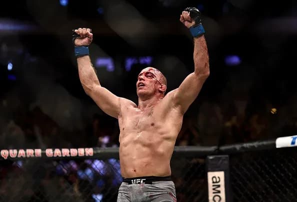 MMA article image
