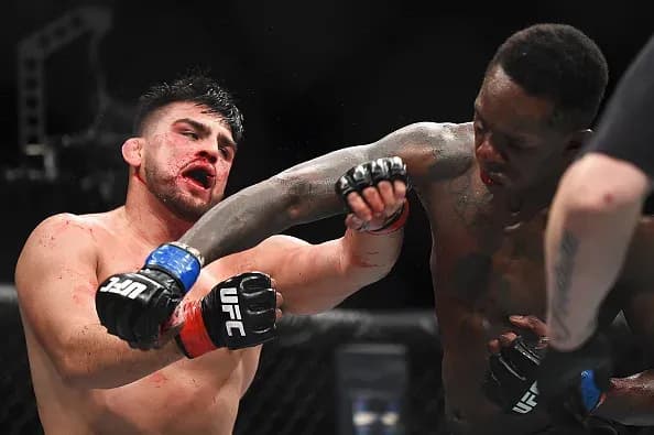 MMA article image