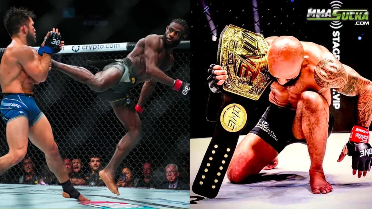 MMA article image