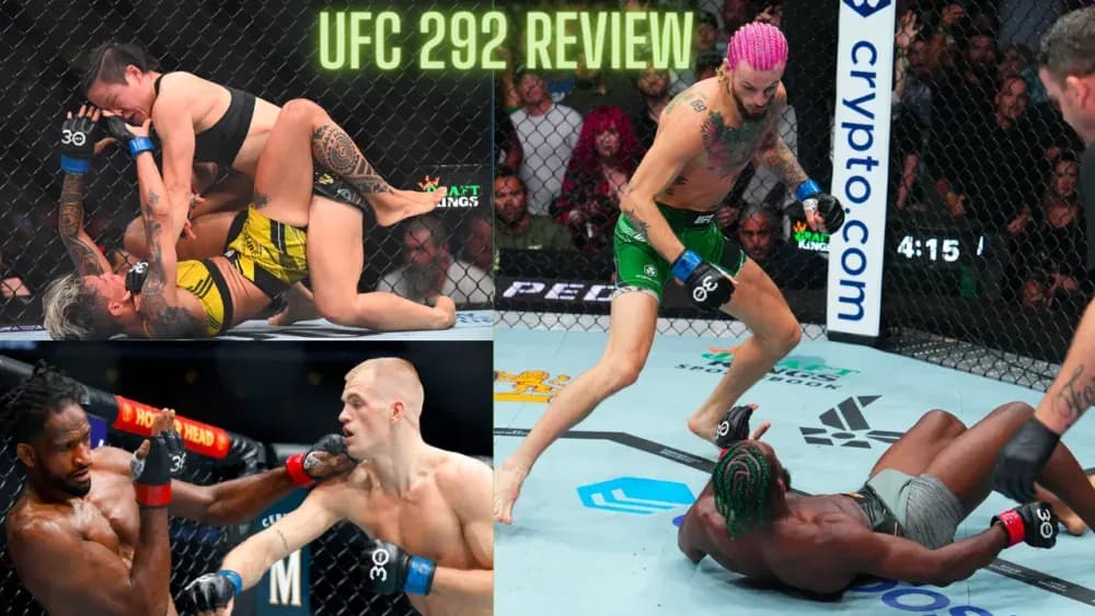 MMA article image