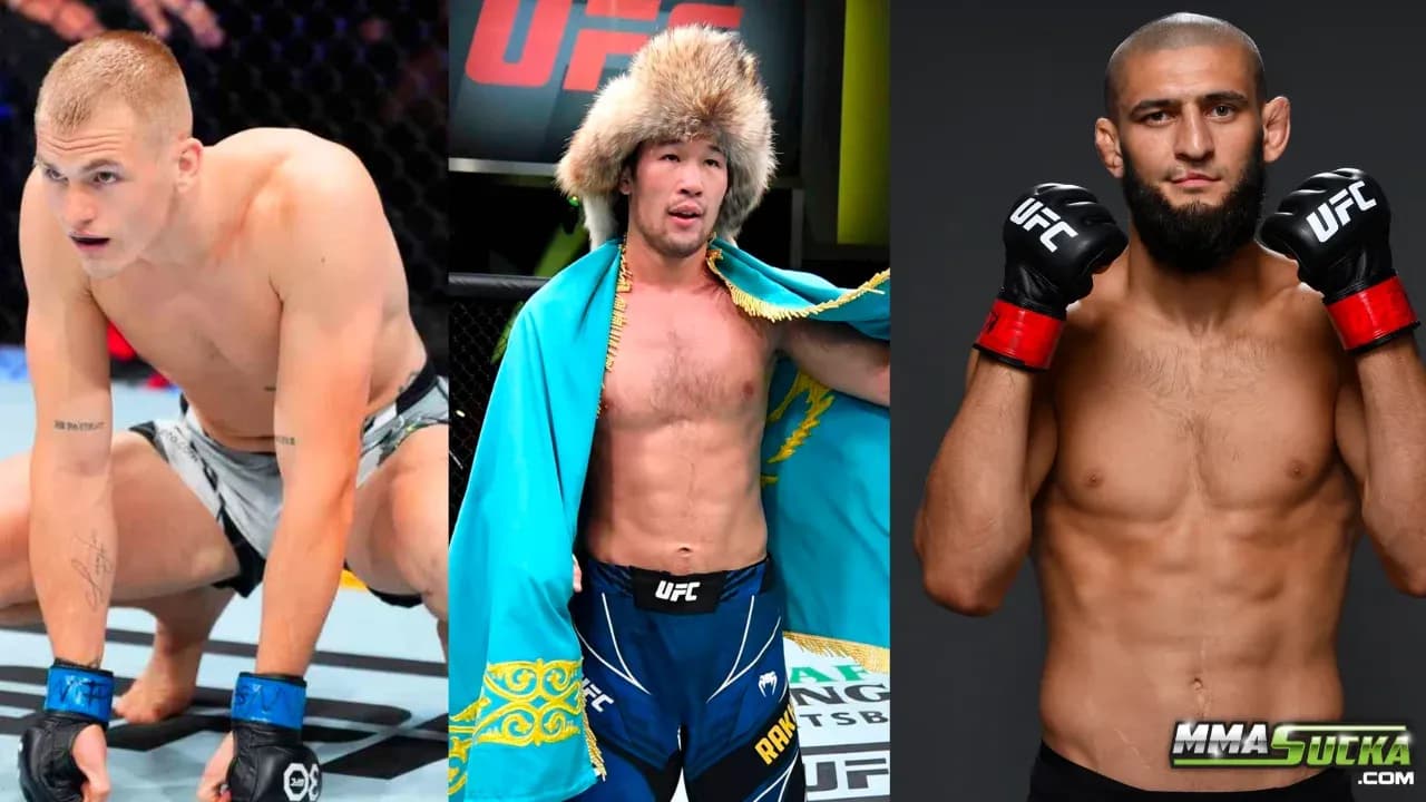 MMA article image