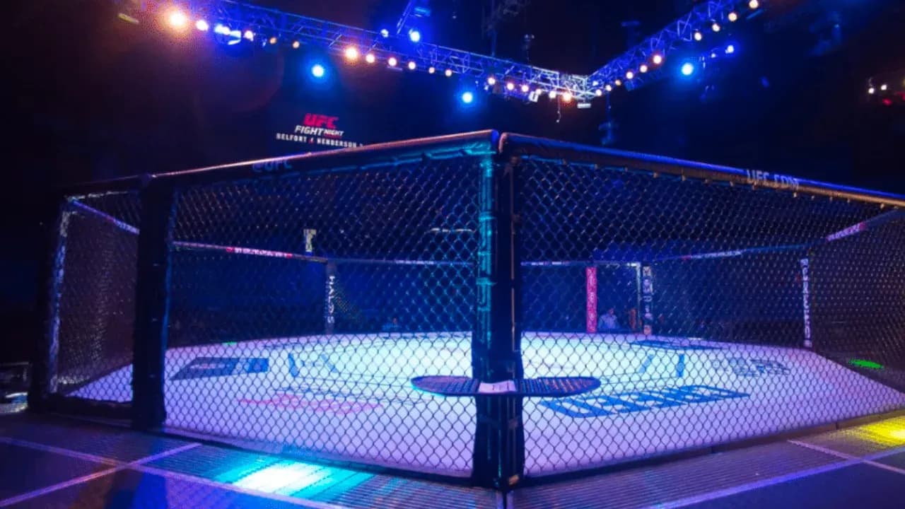 MMA article image