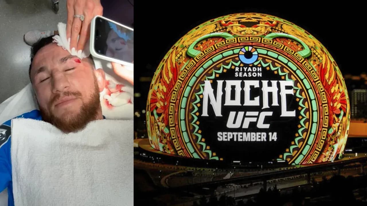 MMA article image