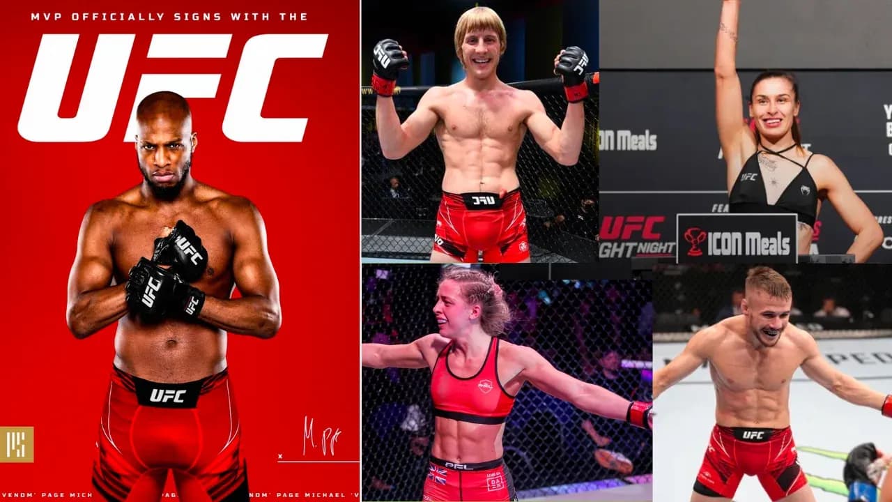 MMA article image