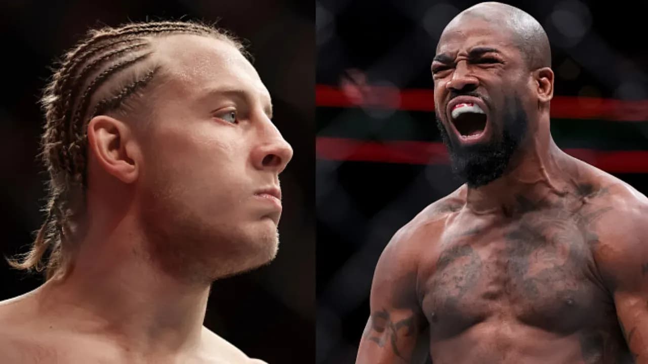 MMA article image