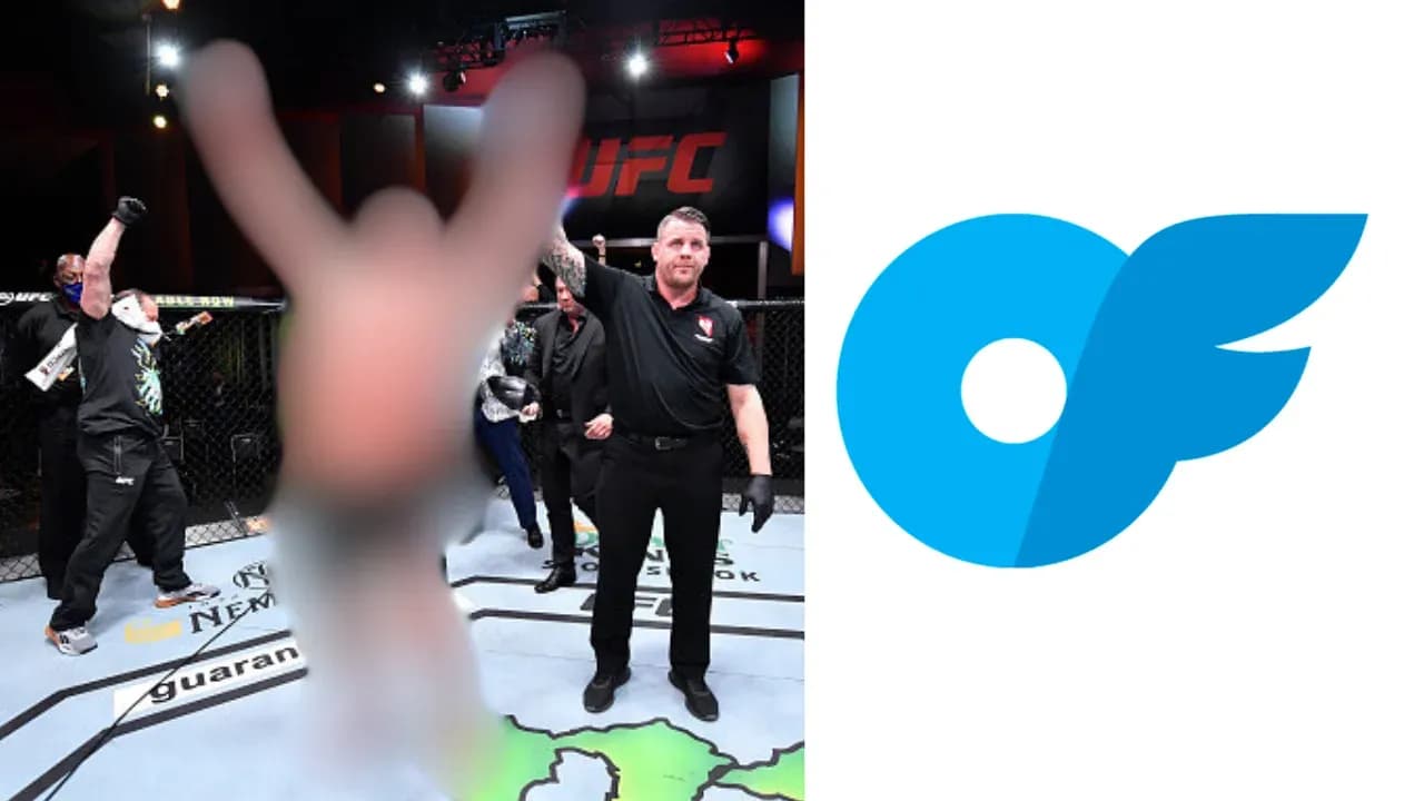 MMA article image
